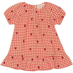 Flss Berry Gingham Molly Dress